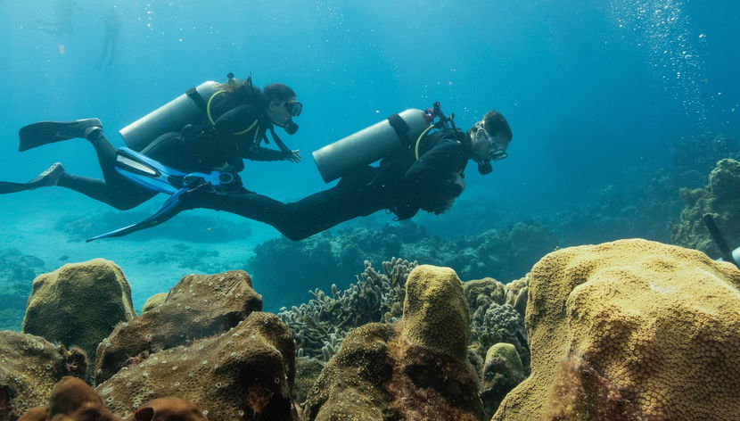 Bautismo de buceo en Dajla - Foto 3