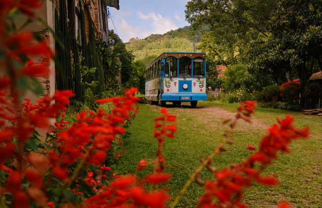 Tour de la inmigración italiana por Gramado y Linha Nova - Foto 9