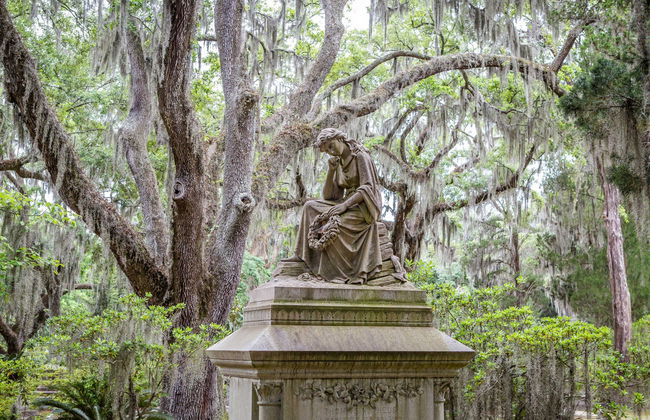 Excursion à Wormsloe et au cimetière de Bonaventure - Photo 2