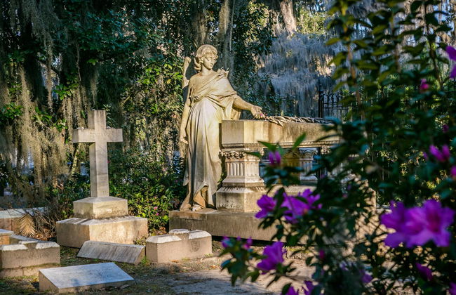 Excursion à Wormsloe et au cimetière de Bonaventure - Photo 3