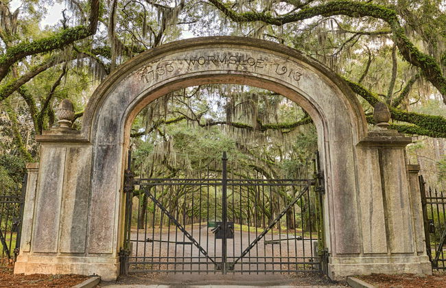 Excursion à Wormsloe et au cimetière de Bonaventure - Photo 5