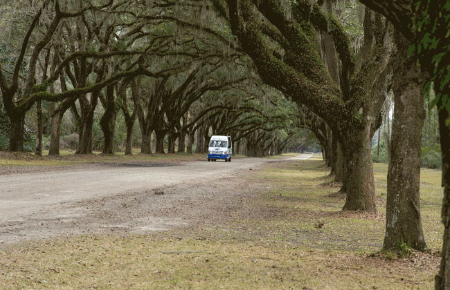 Excursion à Wormsloe et au cimetière de Bonaventure - Photo 7