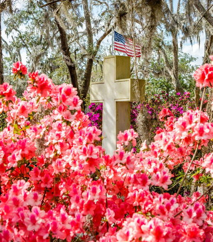 Foto de Excursión a Wormsloe y cementerio Bonaventure