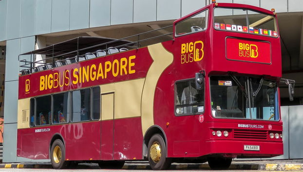 Bus touristique de Singapour - Photo 5