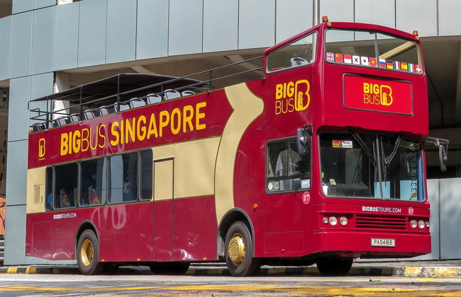 Autobús turístico de Singapur - Foto 5