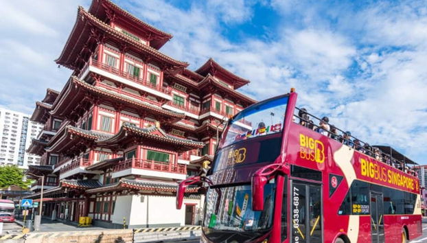 Bus touristique de Singapour - Photo 4