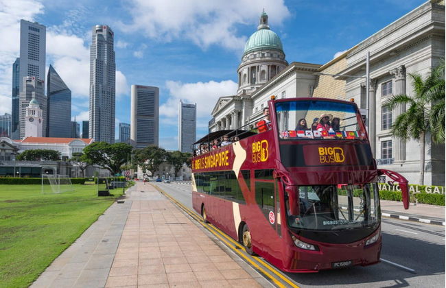 Autobús turístico de Singapur - Foto 6
