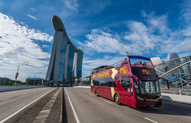 Autobús turístico de Singapur - Foto 3