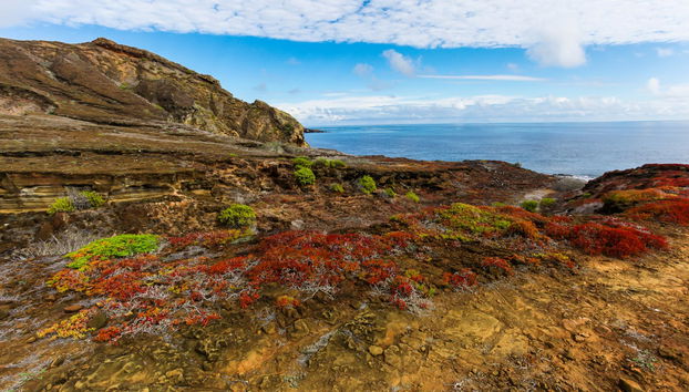 Eastern & Southern Galapagos Islands 5-day Cruise - Foto 2