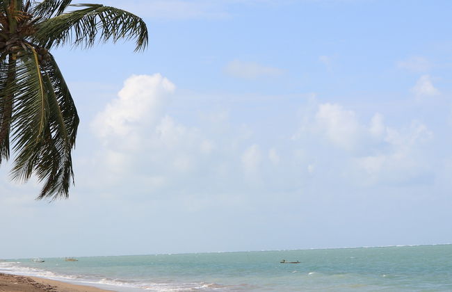 Excursão à praia dos Carneiros - Foto 6
