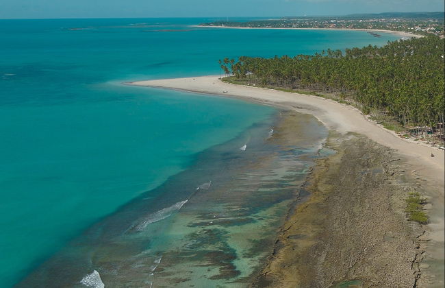 Excursão à praia dos Carneiros - Foto 2