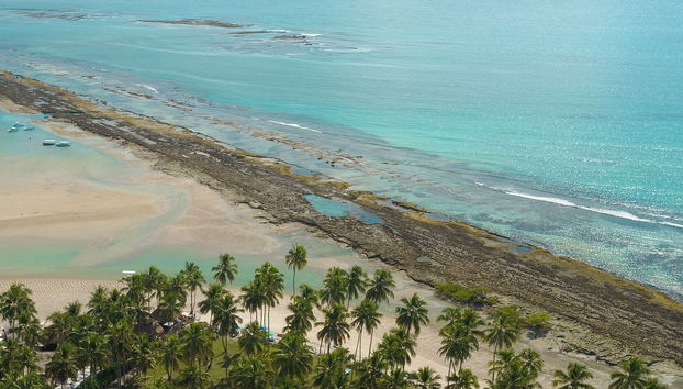 Excursão à praia dos Carneiros - Foto 5