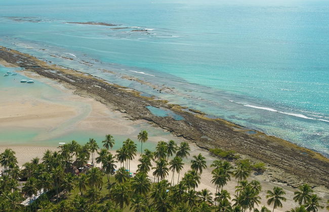 Excursão à praia dos Carneiros - Foto 5