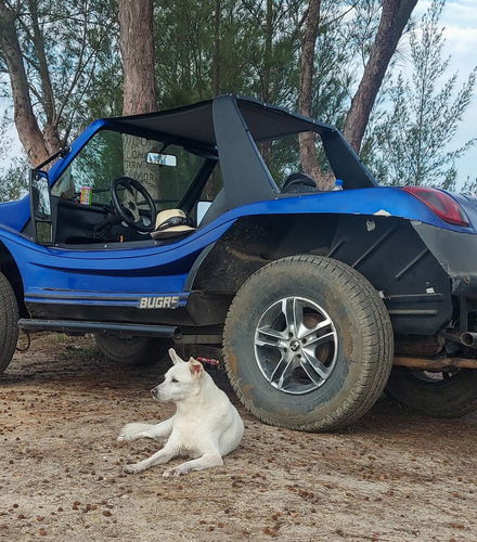 Foto de Tour en buggy por Arubinha