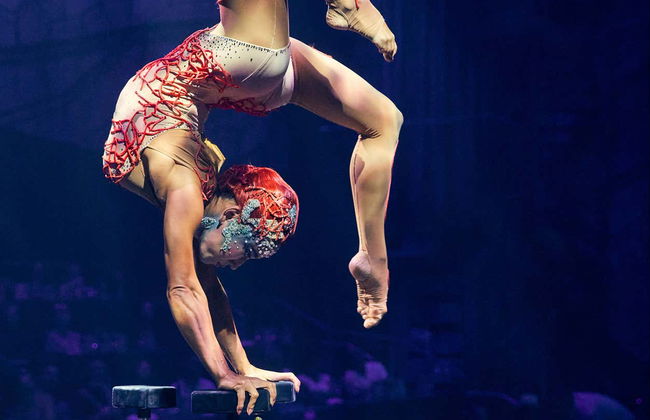 Entradas para Cirque du Soleil JOYÀ - Foto 1