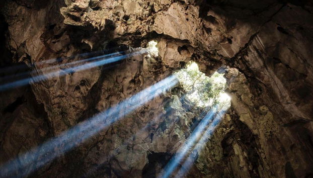 Descubre Da Nang: Tour privado de día completo - Foto 3