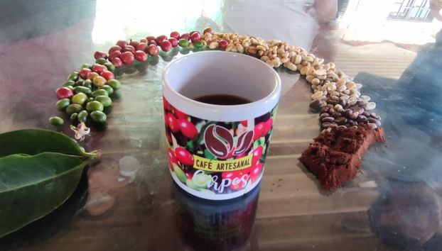 San Rafael Coffee Tour - Foto 2