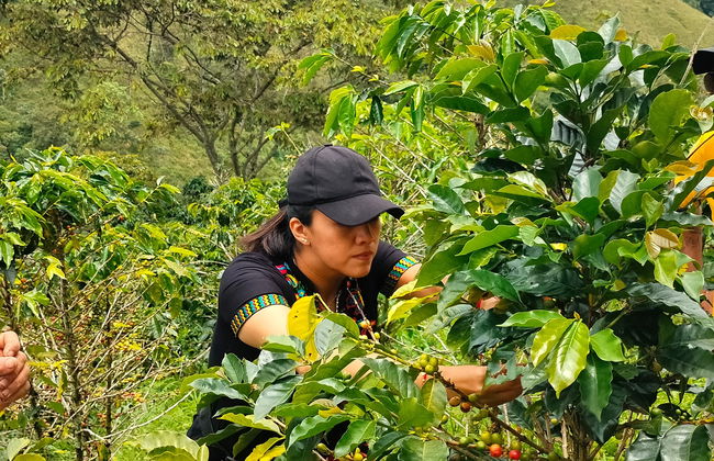 Tour del café por San Rafael - Foto 3