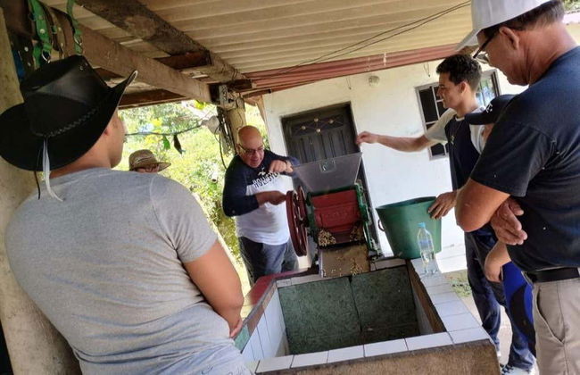 Tour do café por San Rafael - Foto 5