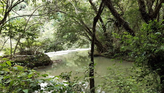 Excursión a Paicol + Espeleología en la cueva Caja de Agua - Foto 2