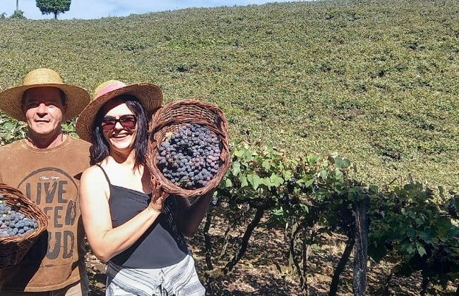 Excursión a los viñedos de Flores da Cunha - Foto 7