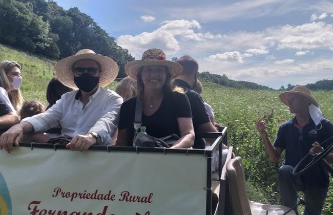 Excursión a los viñedos de Flores da Cunha - Foto 4