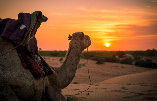 Excursión al desierto de Lompoul - Foto 1