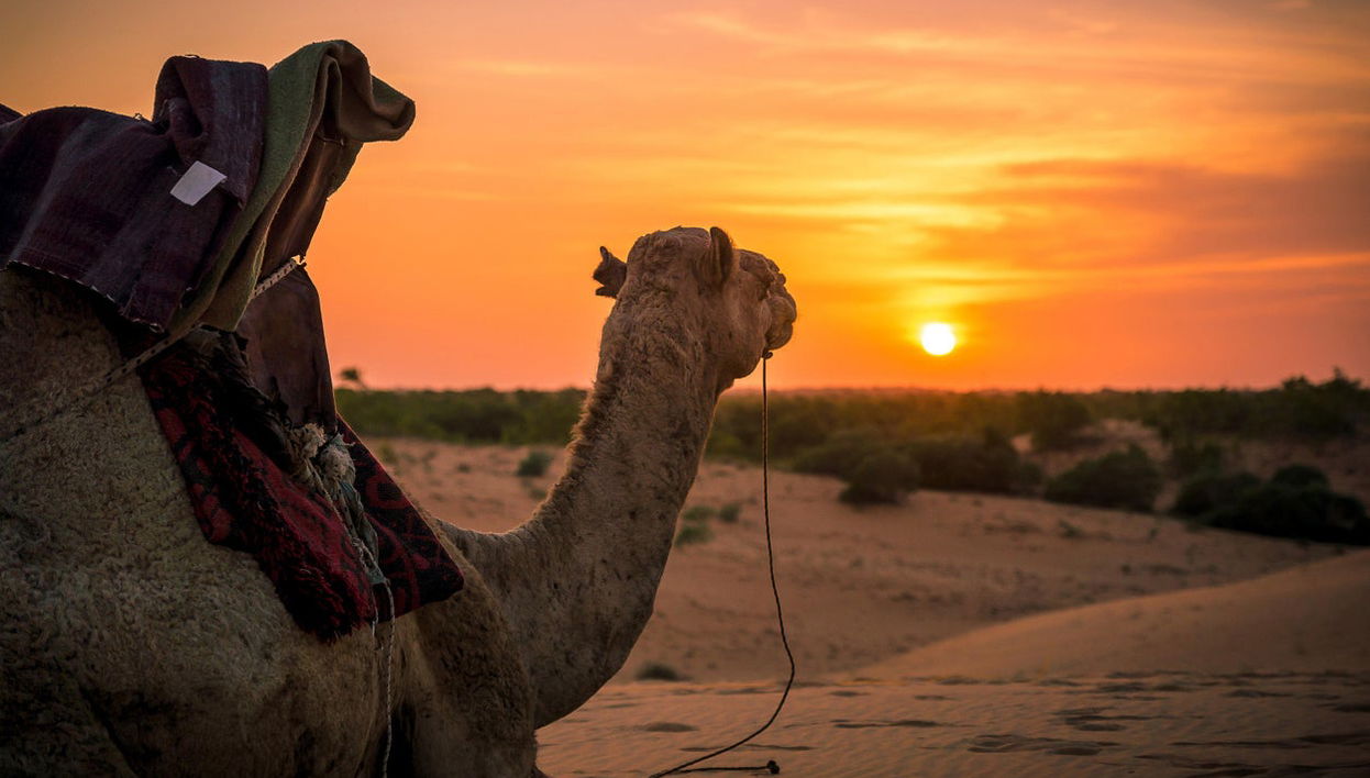 Excursión al desierto de Lompoul - Foto 1
