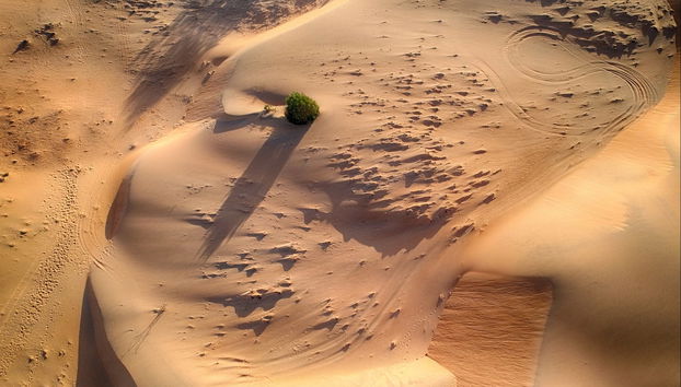 Excursión al desierto de Lompoul - Foto 2