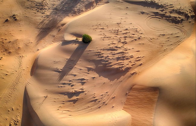 Excursión al desierto de Lompoul - Foto 2