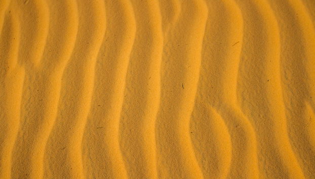 Excursión al desierto de Lompoul - Foto 4