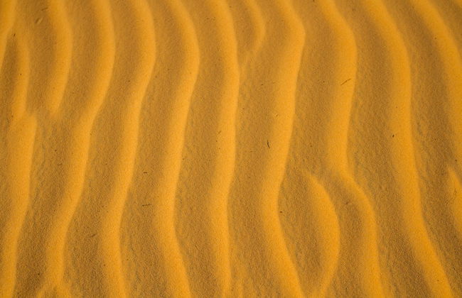 Excursión al desierto de Lompoul - Foto 4