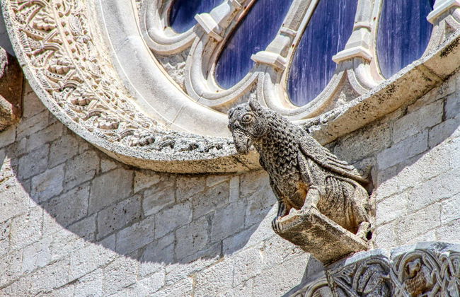 Visite guidée de Trani - Photo 2