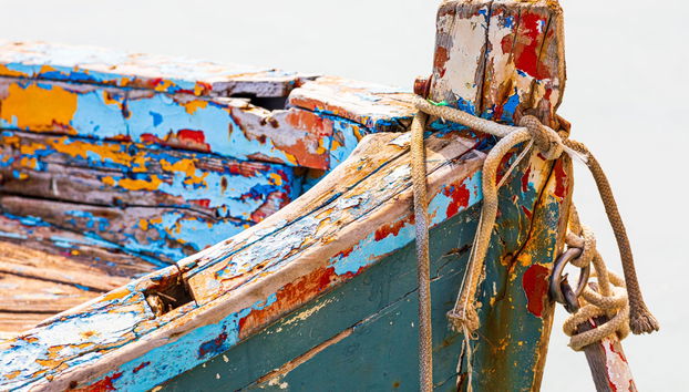 Visita guiada por Trani - Foto 5