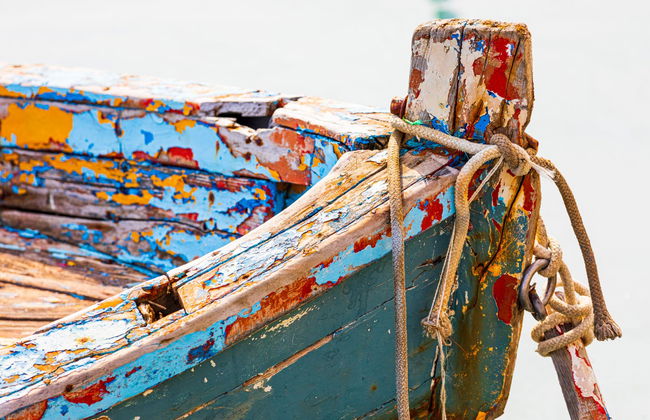 Visite guidée de Trani - Photo 5