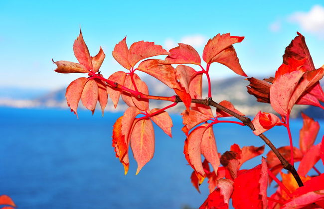 Hiking in the Portofino Regional Natural Park - Photo 4