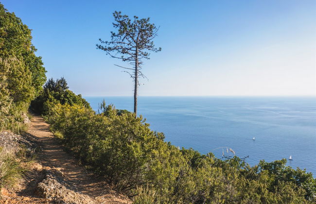 Hiking in the Portofino Regional Natural Park - Photo 6