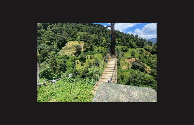 Paseo de las Nubes Farm Excursion - Photo 4