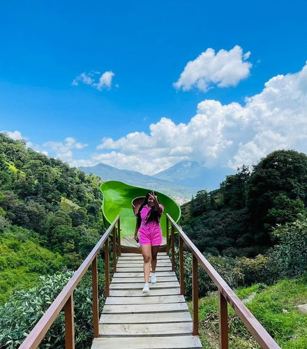 Foto de Excursión a la finca Paseo de las Nubes