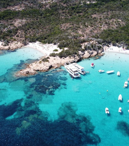 Foto de Excursión a La Maddalena, Spargi, Budelli y Santa María