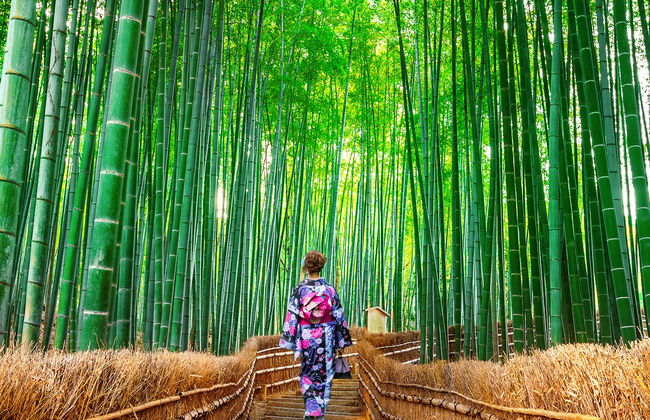 Tour por el bosque de bambú y los templos de Arashiyama - Foto 8