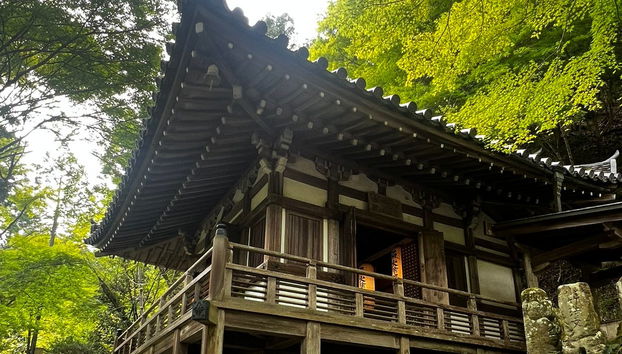 Guided Tour of Arashiyama & Bamboo Forest - Foto 5