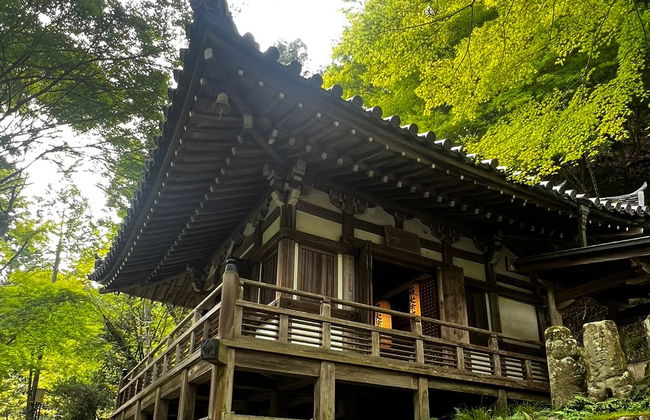 Visita guidata di Arashiyama e la foresta di bambù - Foto 5