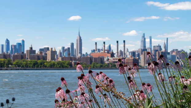 Tour del grafiti por Brooklyn - Foto 4