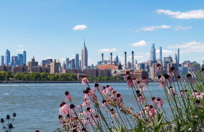 Tour del grafiti por Brooklyn - Foto 4