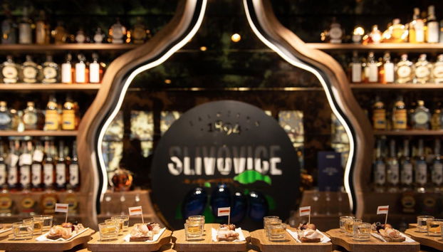 Entrada al Museo Slivovitz - Foto 2