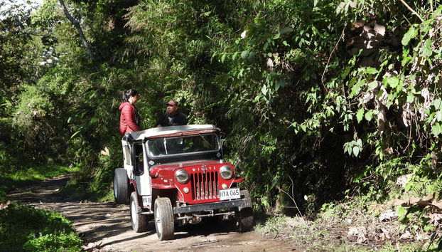 En 4x4 à la recherche d'oiseaux
