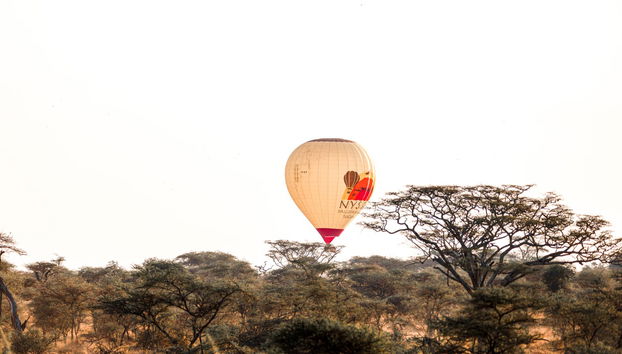 Paseo en globo por el Serengueti - Foto 2