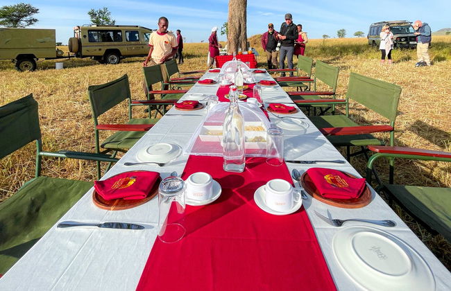 Giro in mongolfiera sul Serengeti - Foto 12
