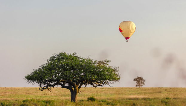 Paseo en globo por el Serengueti - Foto 3